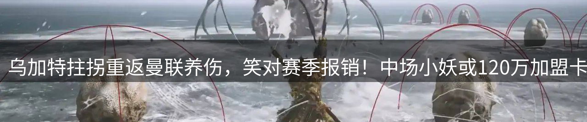 品牌资讯