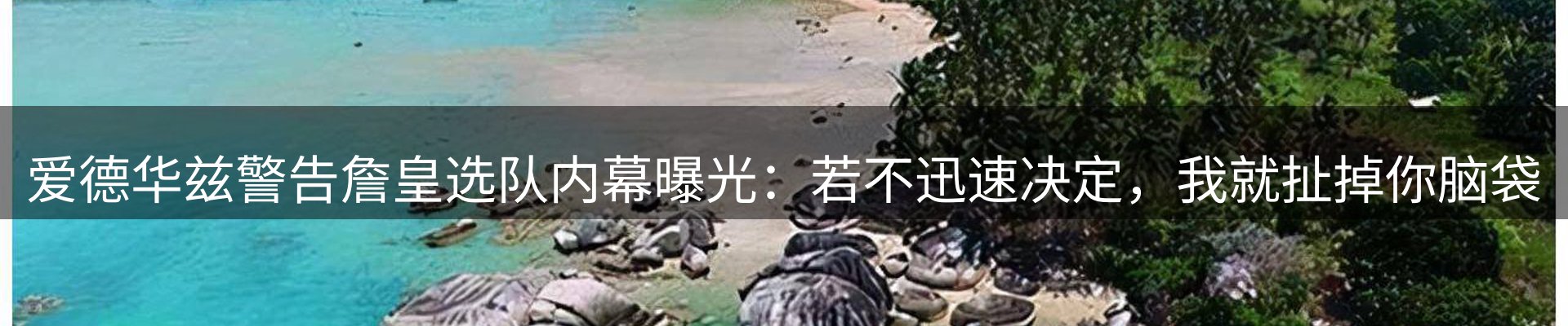 品牌资讯