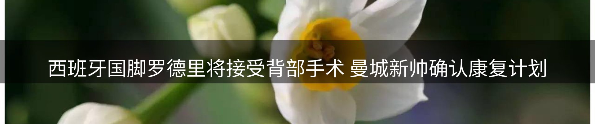 品牌资讯