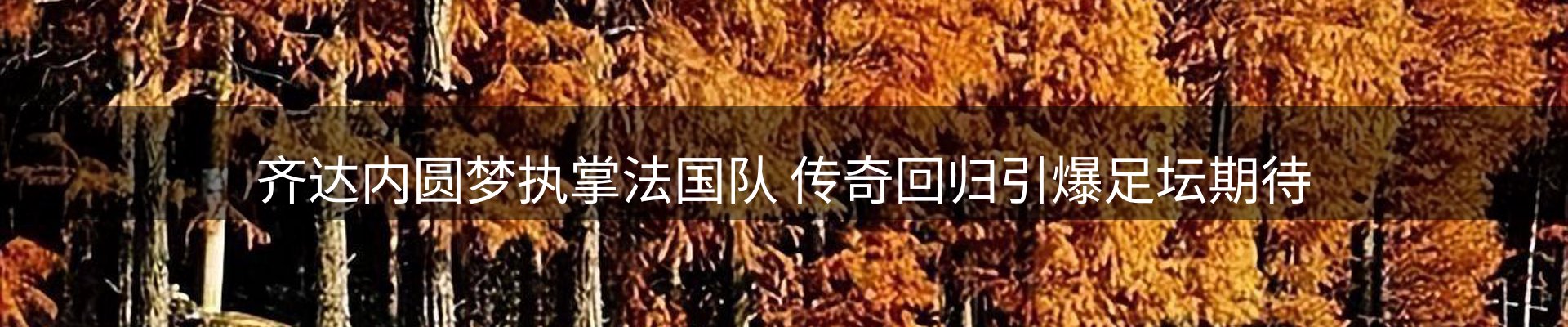 品牌资讯