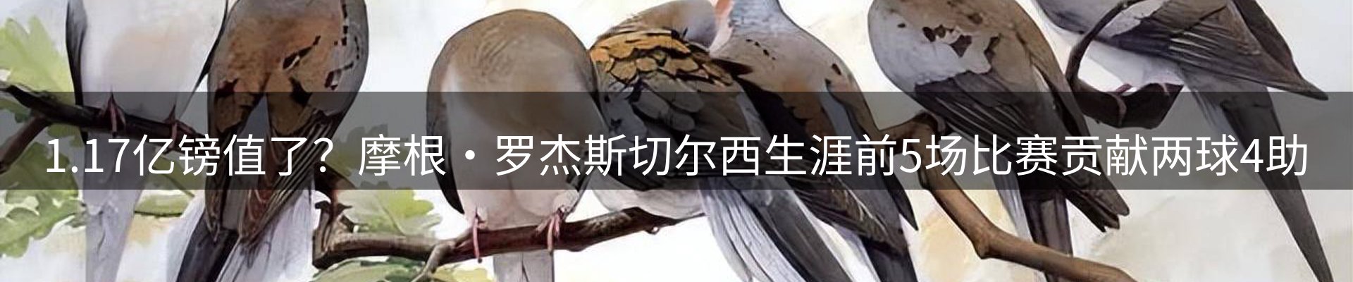 新闻图鉴